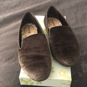 Birdies - The Starling